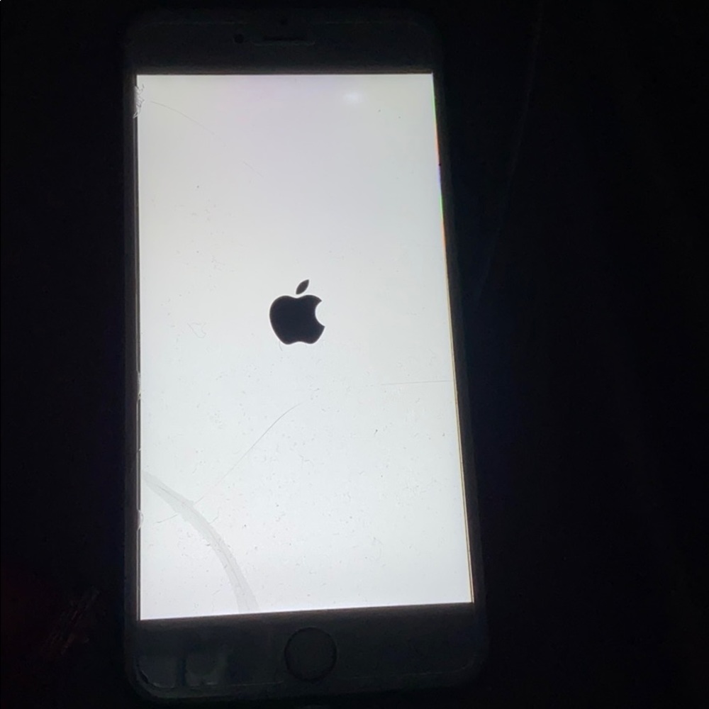iPhone 6 Plus